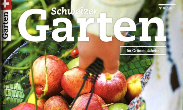 Praxis Ziergarten Oktober 2016
