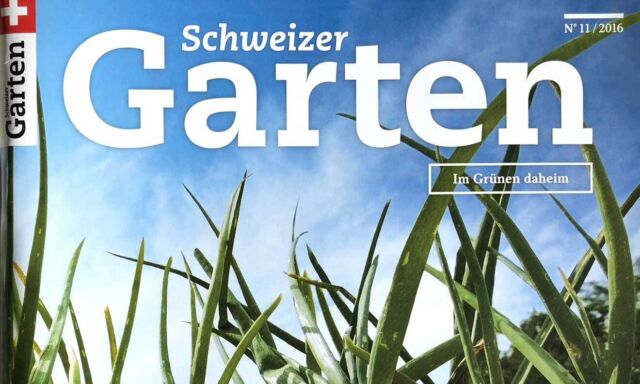 Praxis Ziergarten November 2016