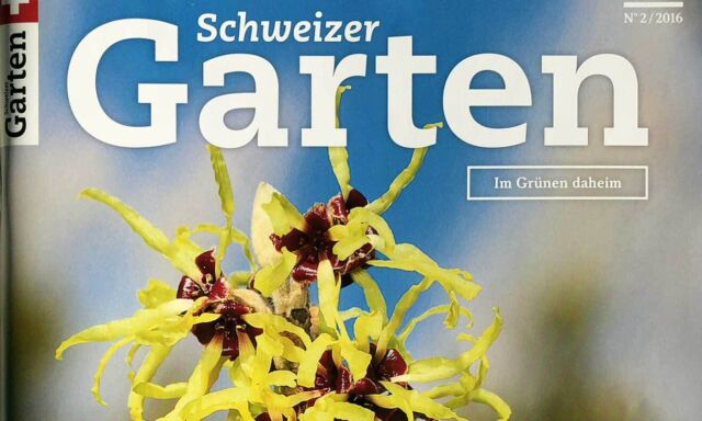Praxis Ziergarten im "Schweizer Garten"