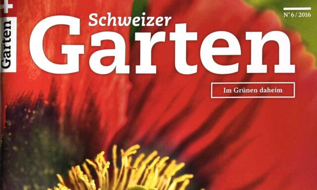 Praxis Ziergarten Juni 2016