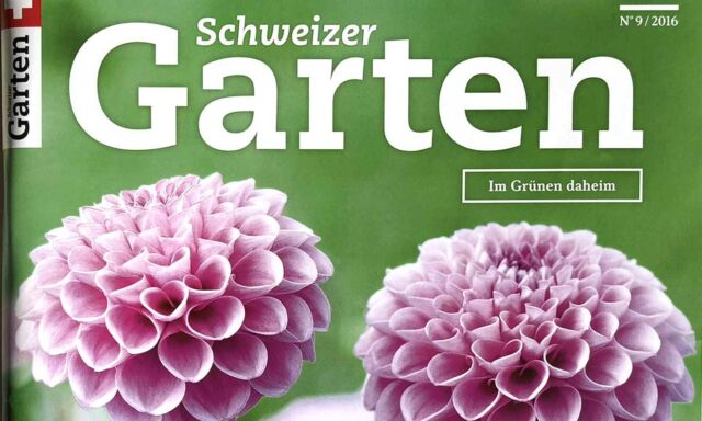 Praxis Ziergarten September 2016
