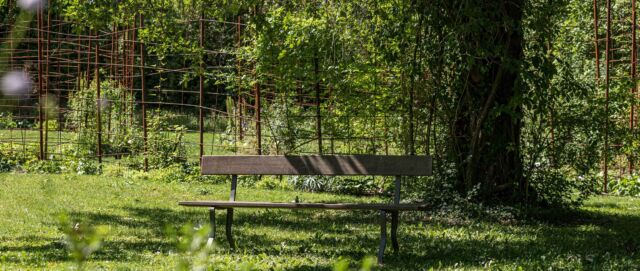 Gartenbank-Patenschaften