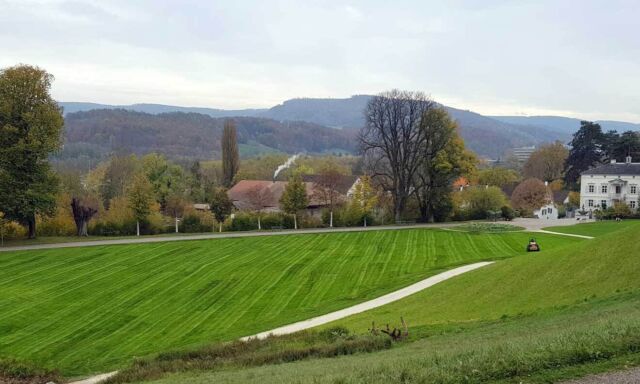 Räsenmähen