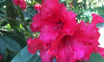 Rhodos16 sro 1320x792