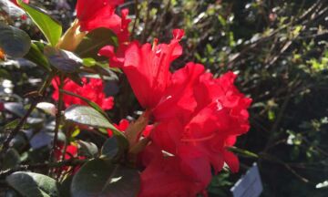 Rhodos2 sro 1320x792