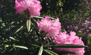 Rhodos4 sro 1320x792