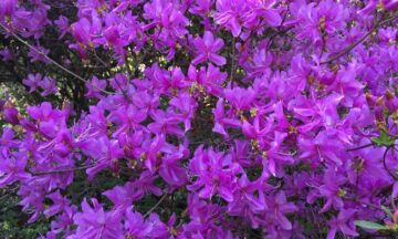 Rhodos7 sro 1320x792