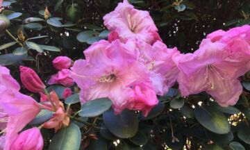 Rhodos8 sro 1320x792