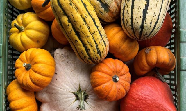Der Marktstand im Herbst